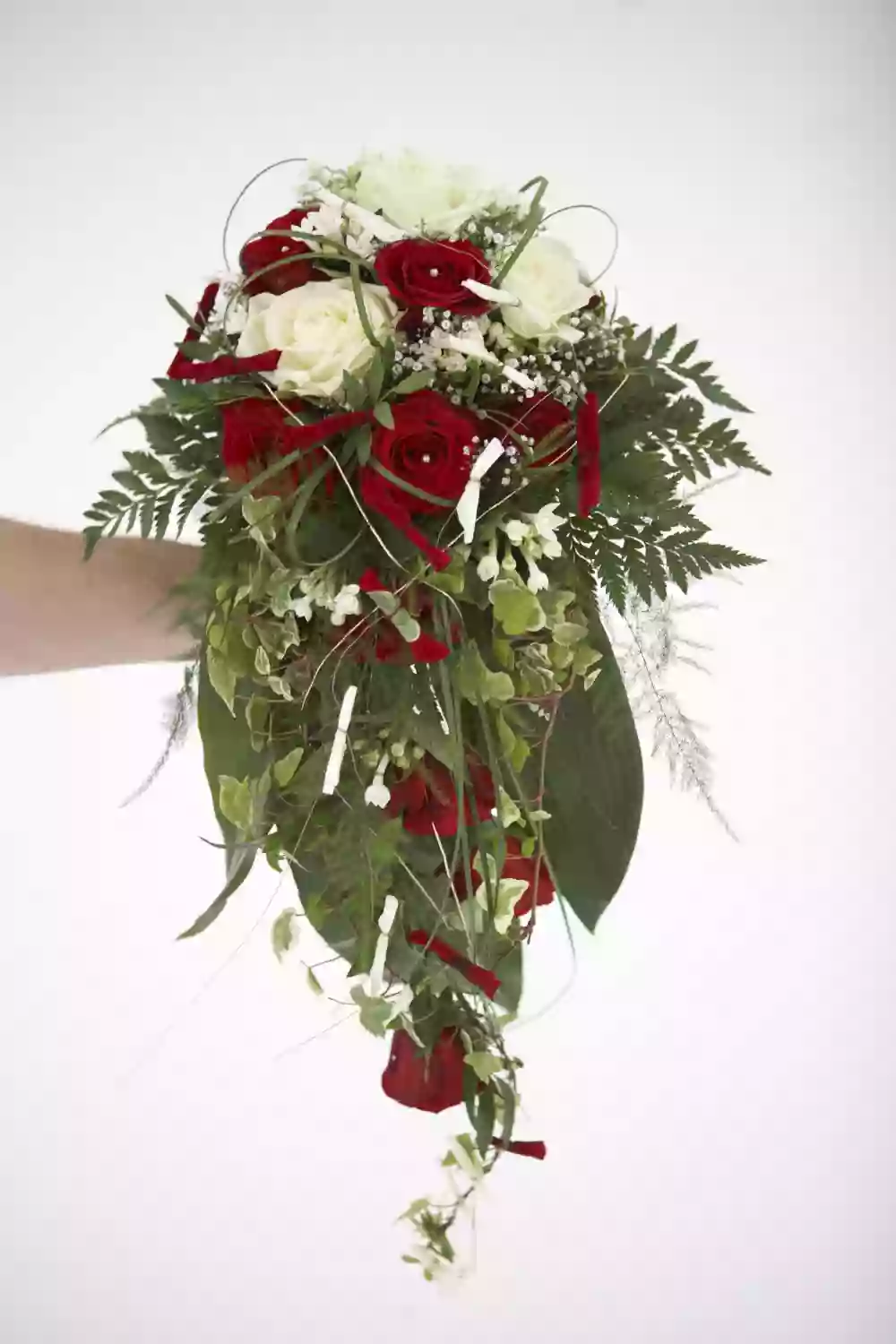 Trave-Blumen Trave-Blumen