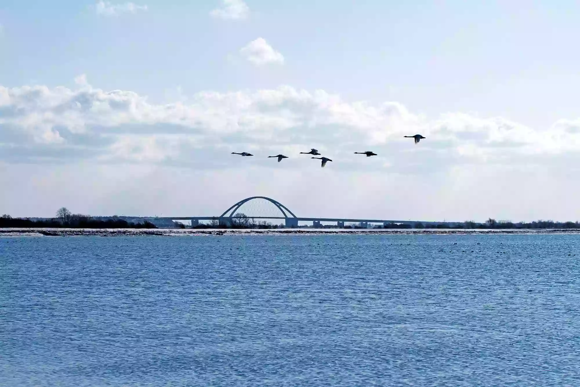 Ferienwohnungen auf Fehmarn Ferienwohnungen auf Fehmarn