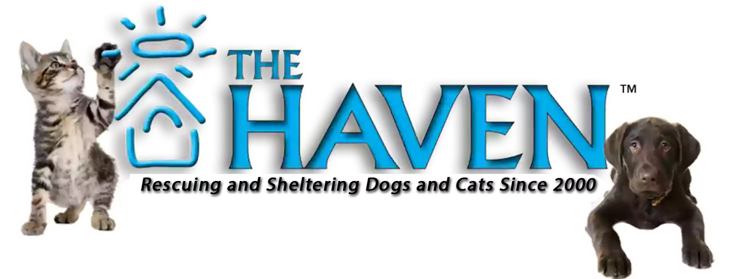 The Haven