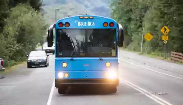 M & M Tours M & M Tours