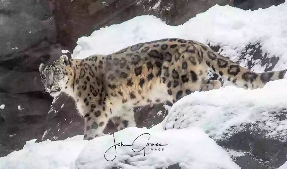 Alaska Zoo Alaska Zoo