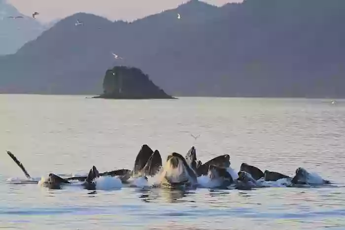 Alaska Tales Alaska Tales