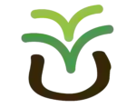 Veggie Village