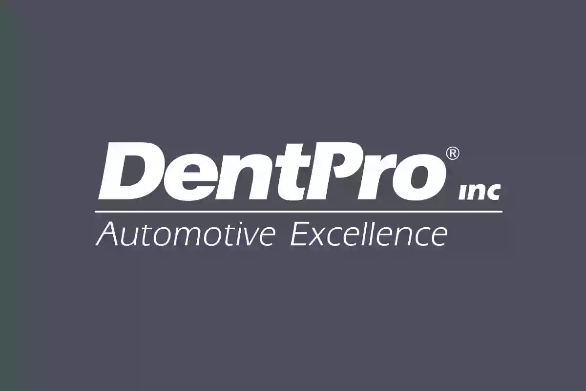 DentPro Inc DentPro Inc
