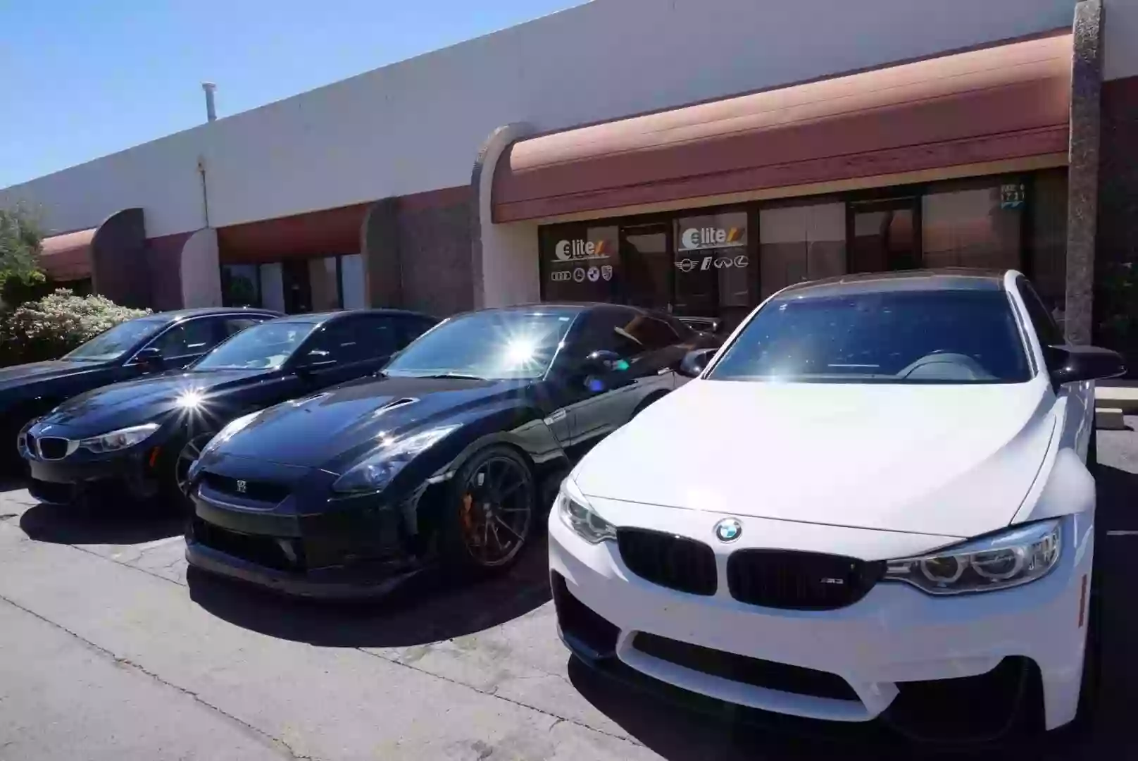 Elite Bimmer Elite Bimmer