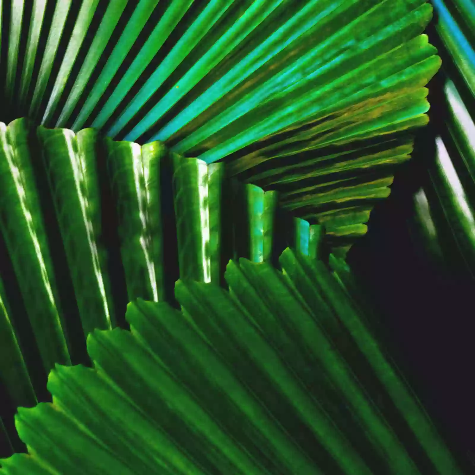 Esthetic 23 Esthetic 23