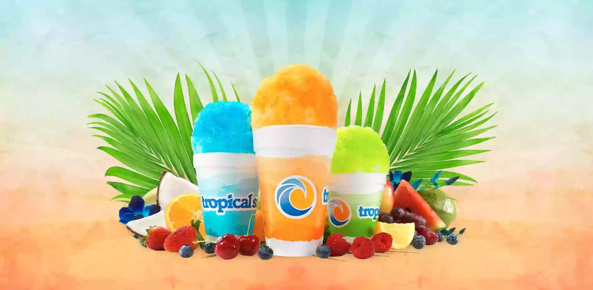 Tropical Sno Tropical Sno