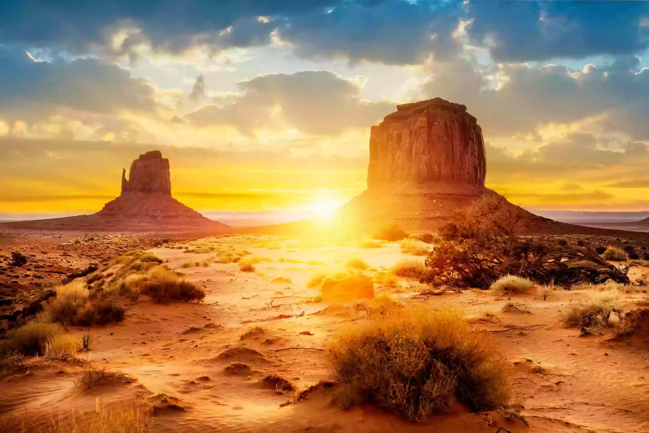 Desert Hope Desert Hope