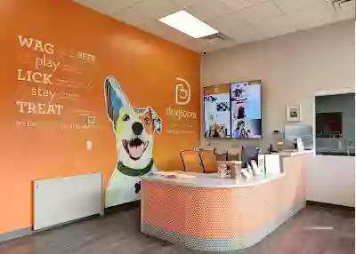 Dogtopia of Gilbert Dogtopia of Gilbert