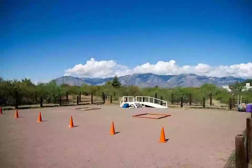 Al's Horse Academy