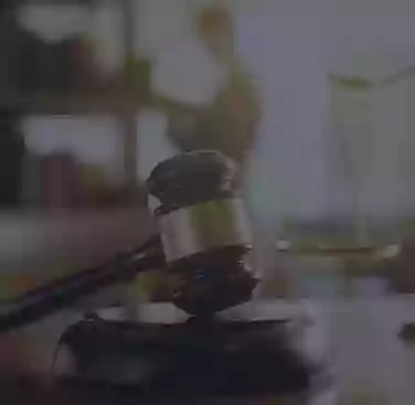 Sweet Lawyers Sweet Lawyers