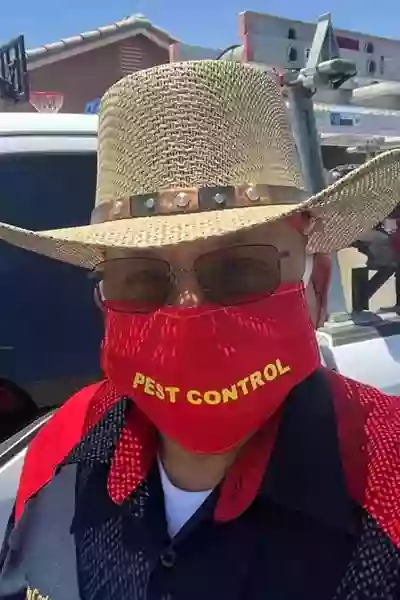 Professional Pest Control Professional Pest Control