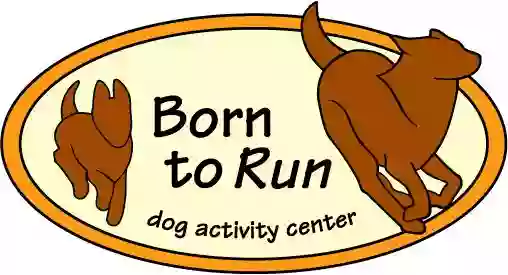 Born to Run Born to Run