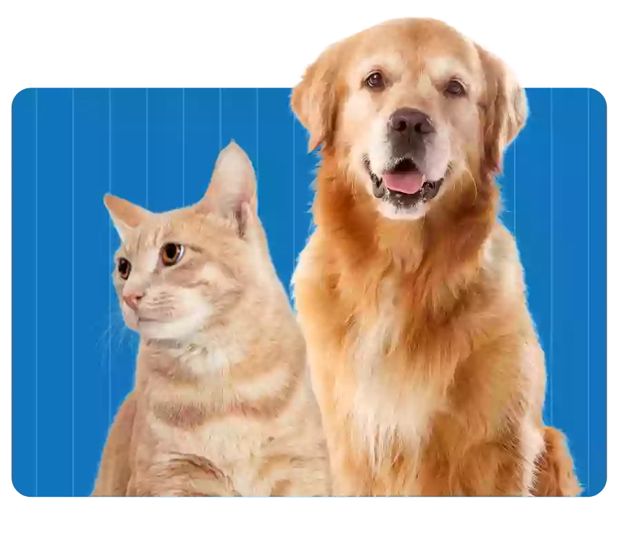 FORTY32 Animal Hospital FORTY32 Animal Hospital