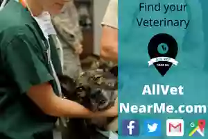 Nashville Animal Hospital Nashville Animal Hospital
