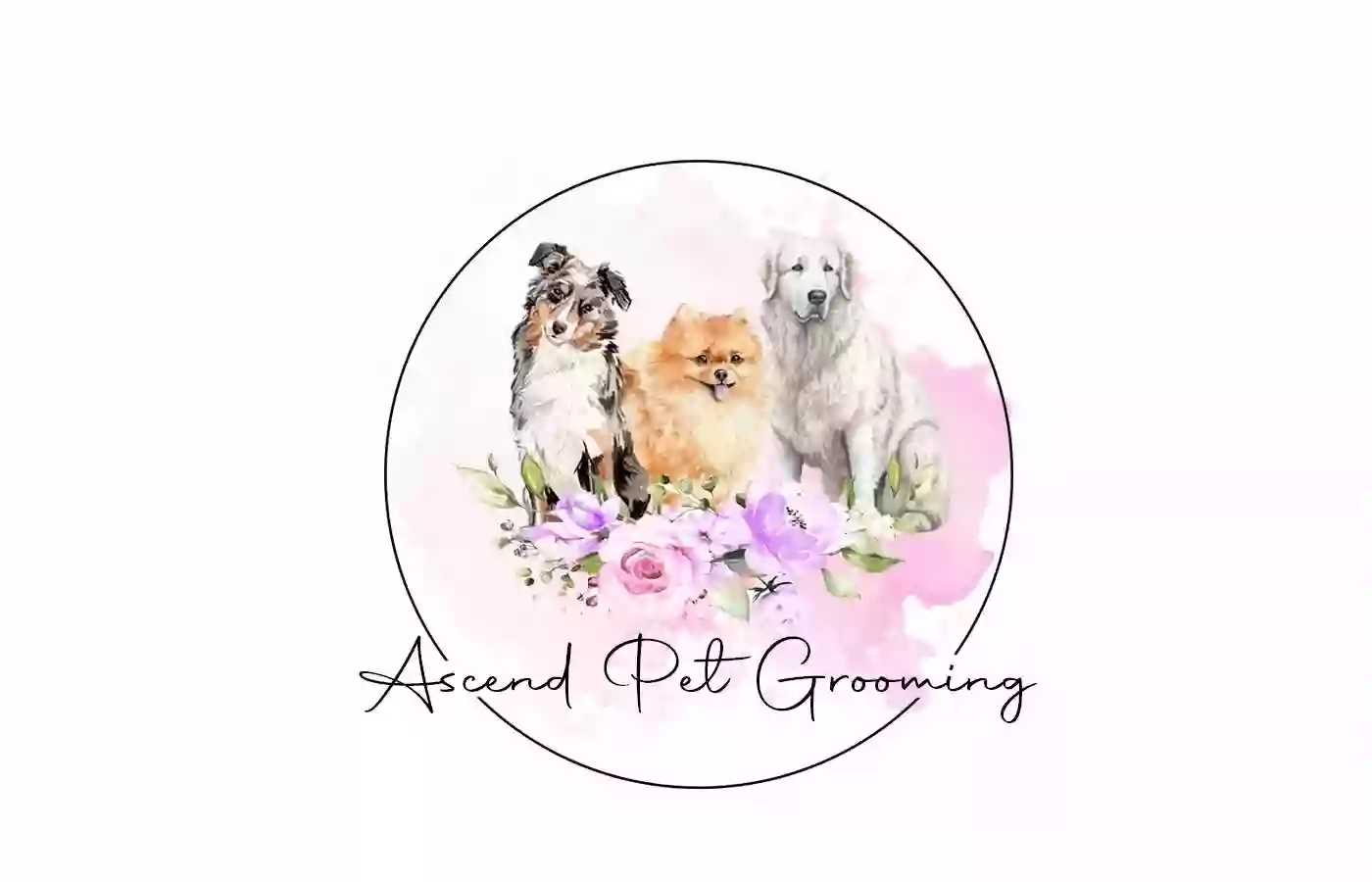 Ascend Pet Grooming Ascend Pet Grooming