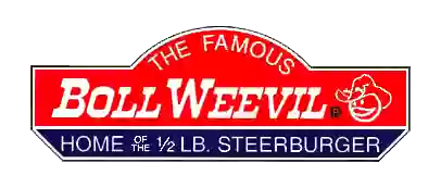 Boll Weevil
