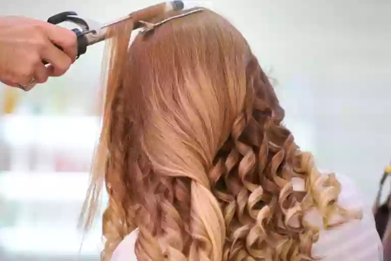 Moxie Salon Moxie Salon