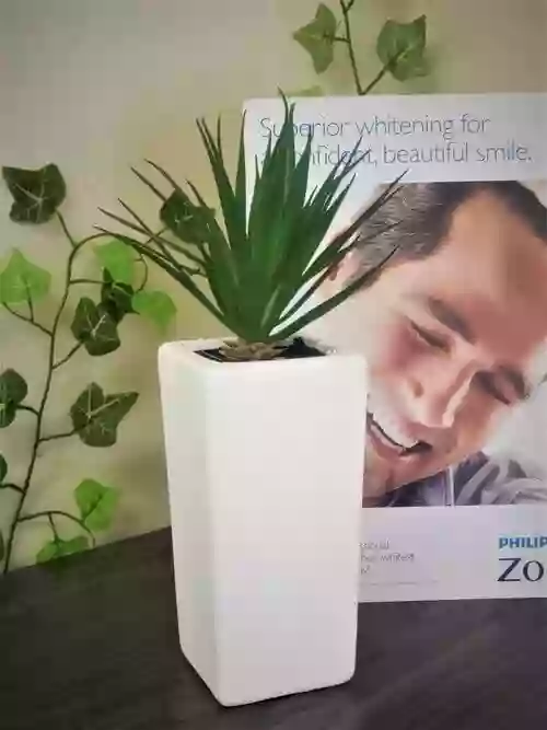 Great Care Dental 大愛牙醫 Great Care Dental 大愛牙醫