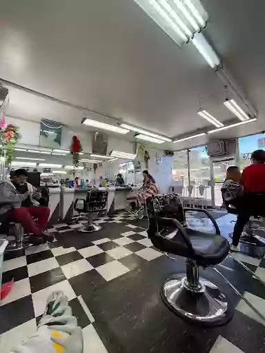 Perfect Cut Perfect Cut