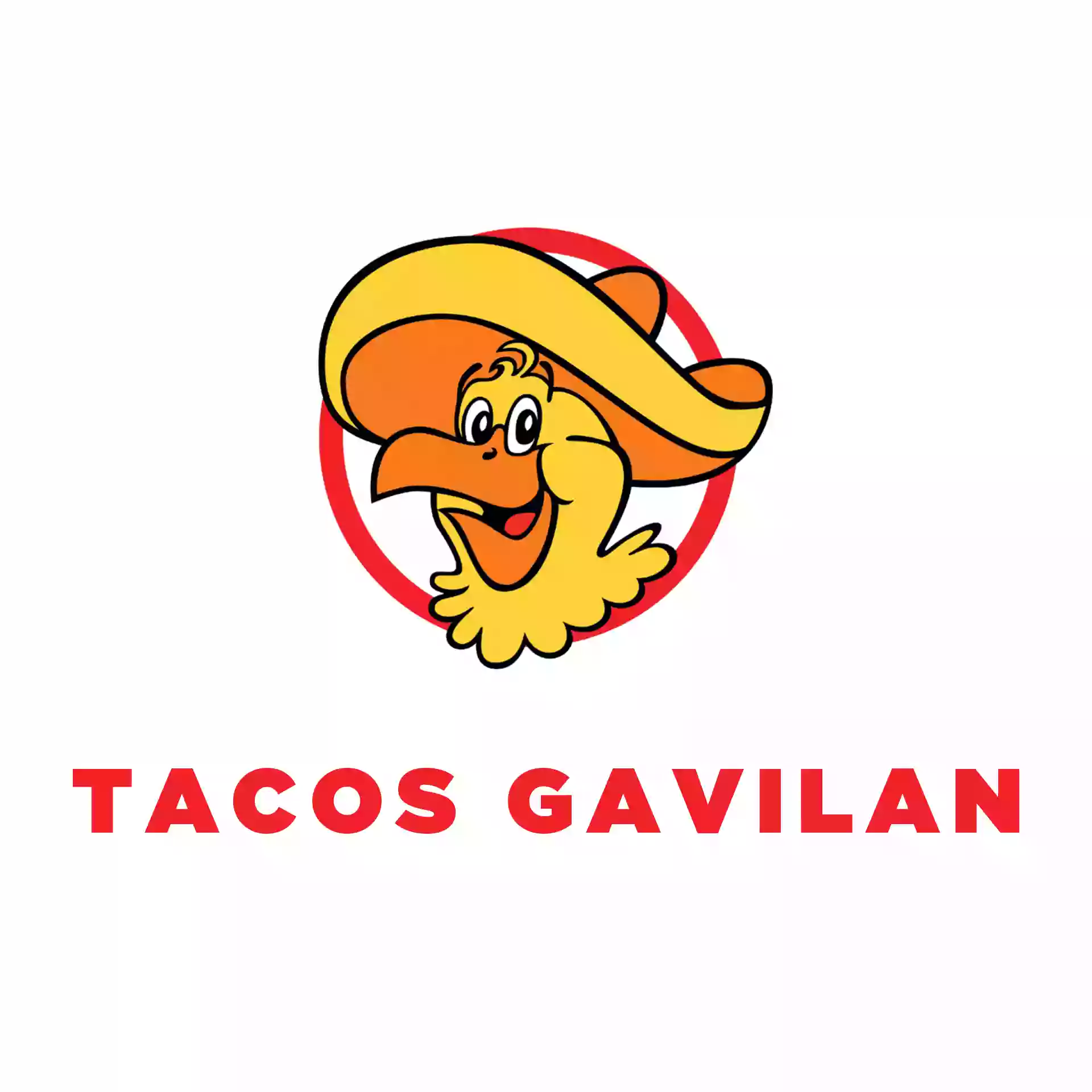 Tacos Gavilan Tacos Gavilan