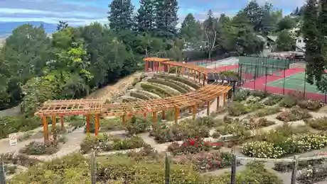 Berkeley Rose Garden Berkeley Rose Garden