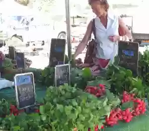Vista Farmers Market