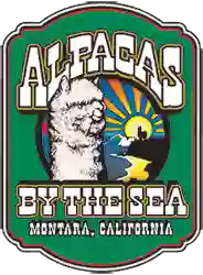 Alpacas By The Sea Alpacas By The Sea