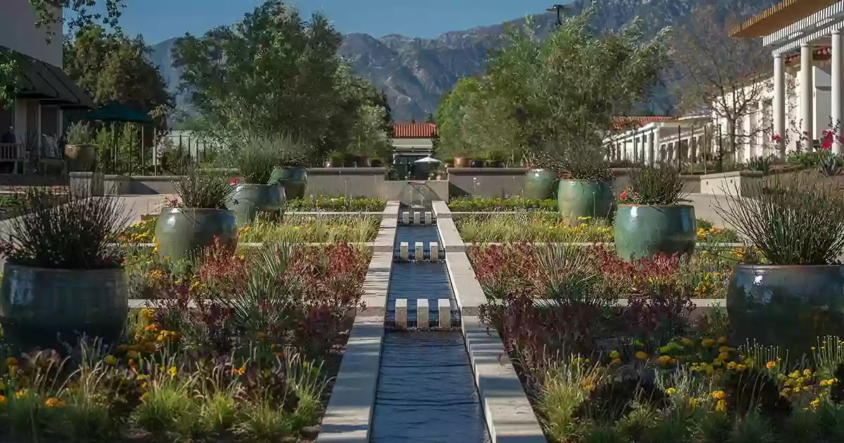 Desert Garden Desert Garden