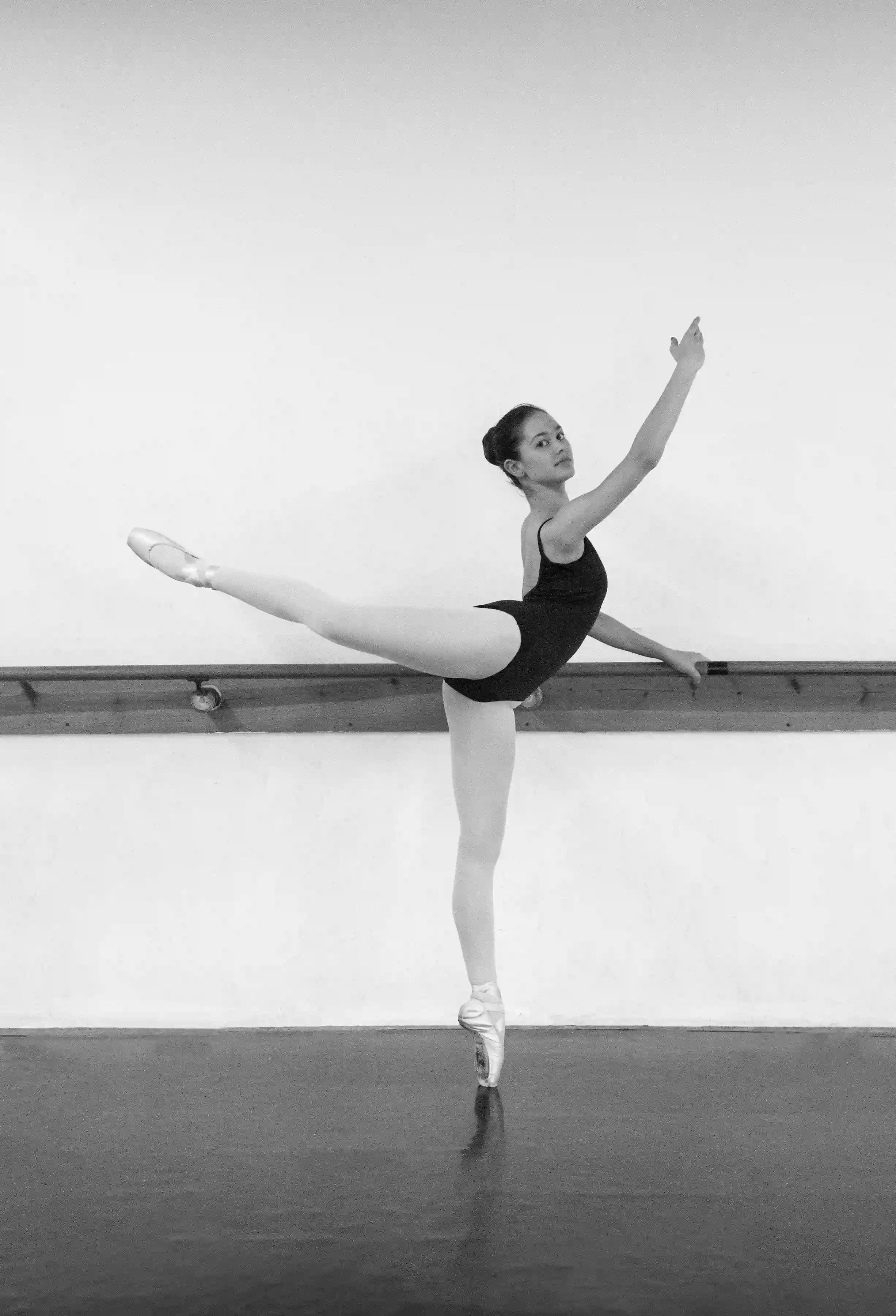 Santa Rosa Dance Theater Santa Rosa Dance Theater