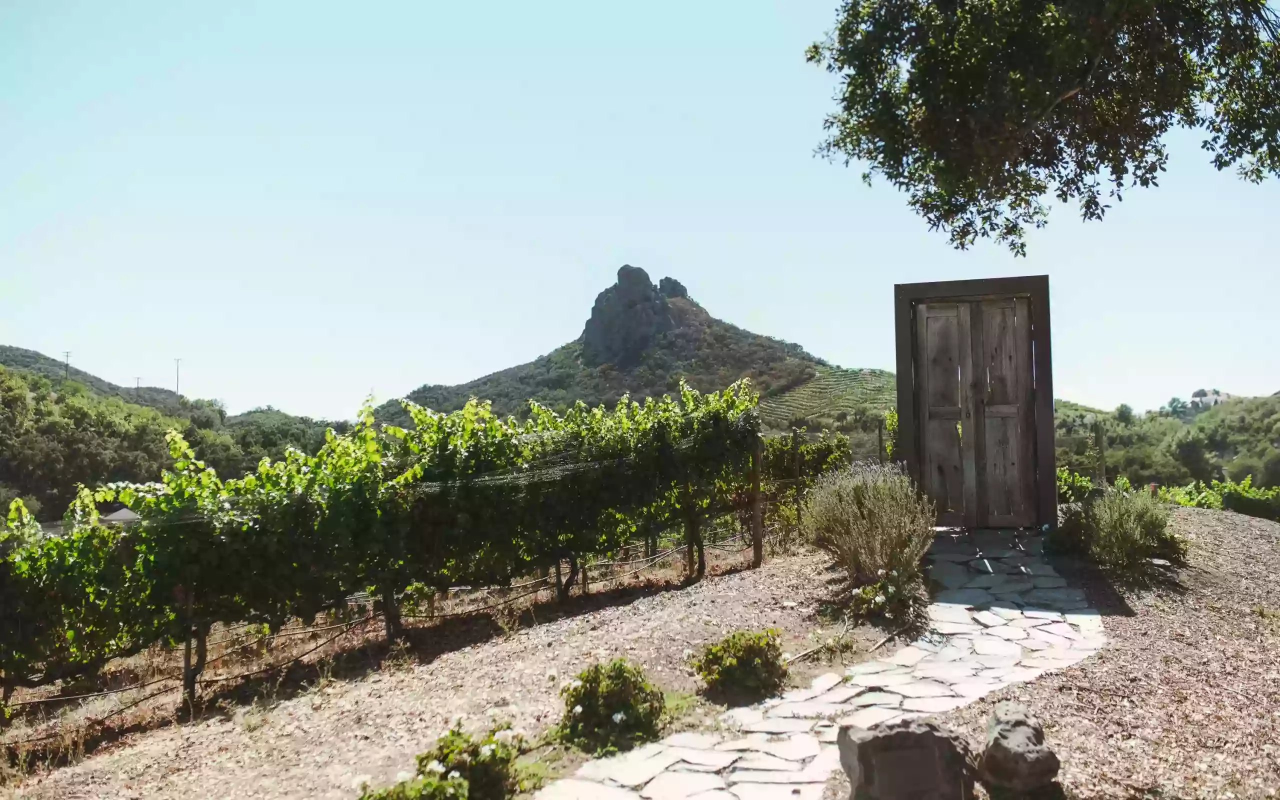 Malibu Wine Hikes Malibu Wine Hikes