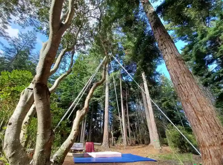 Gualala Aerial Silks Gualala Aerial Silks