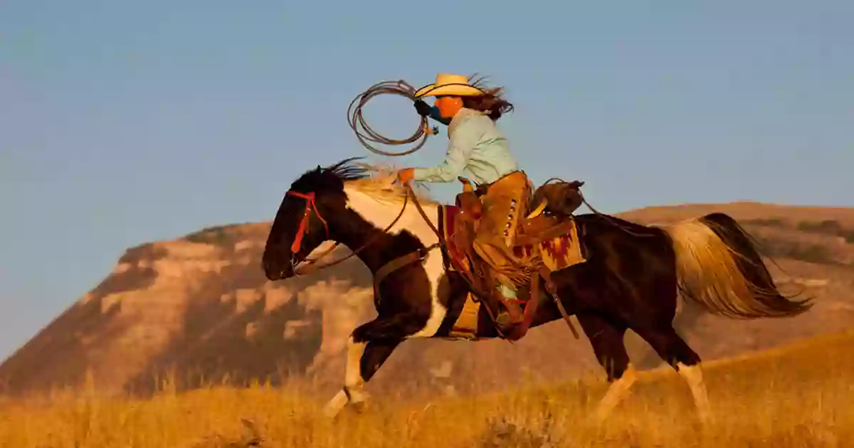 Top50 Ranches Top50 Ranches