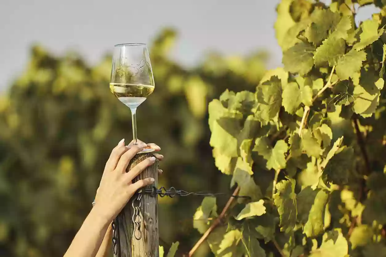 Paso Robles Wineries Paso Robles Wineries