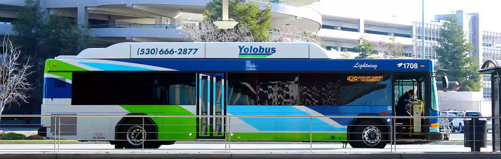 Yolo Bus Yolo Bus