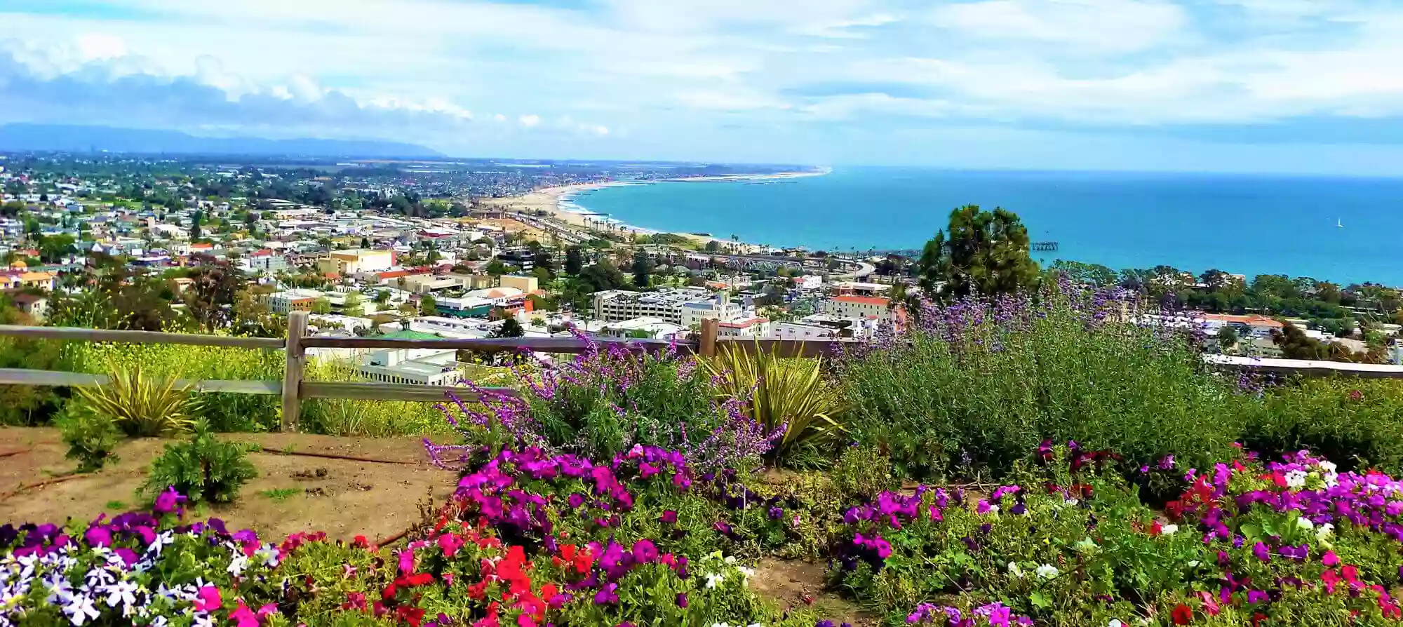 DLV Vision - Ventura DLV Vision - Ventura