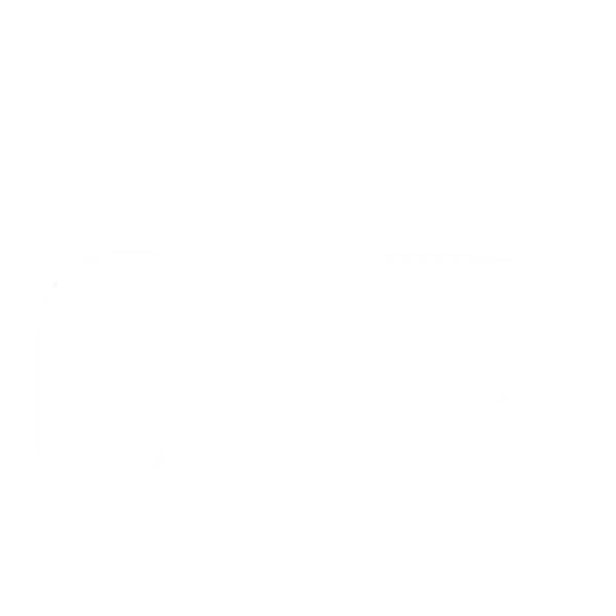 The George The George
