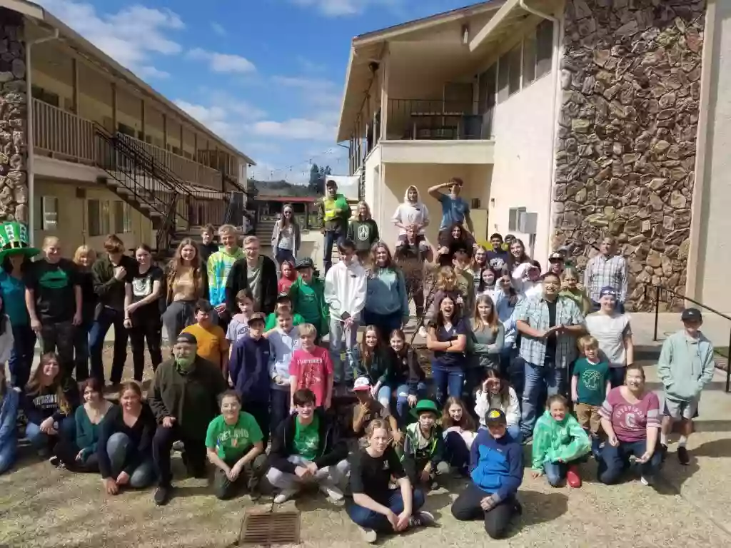 Vine Academy Vine Academy