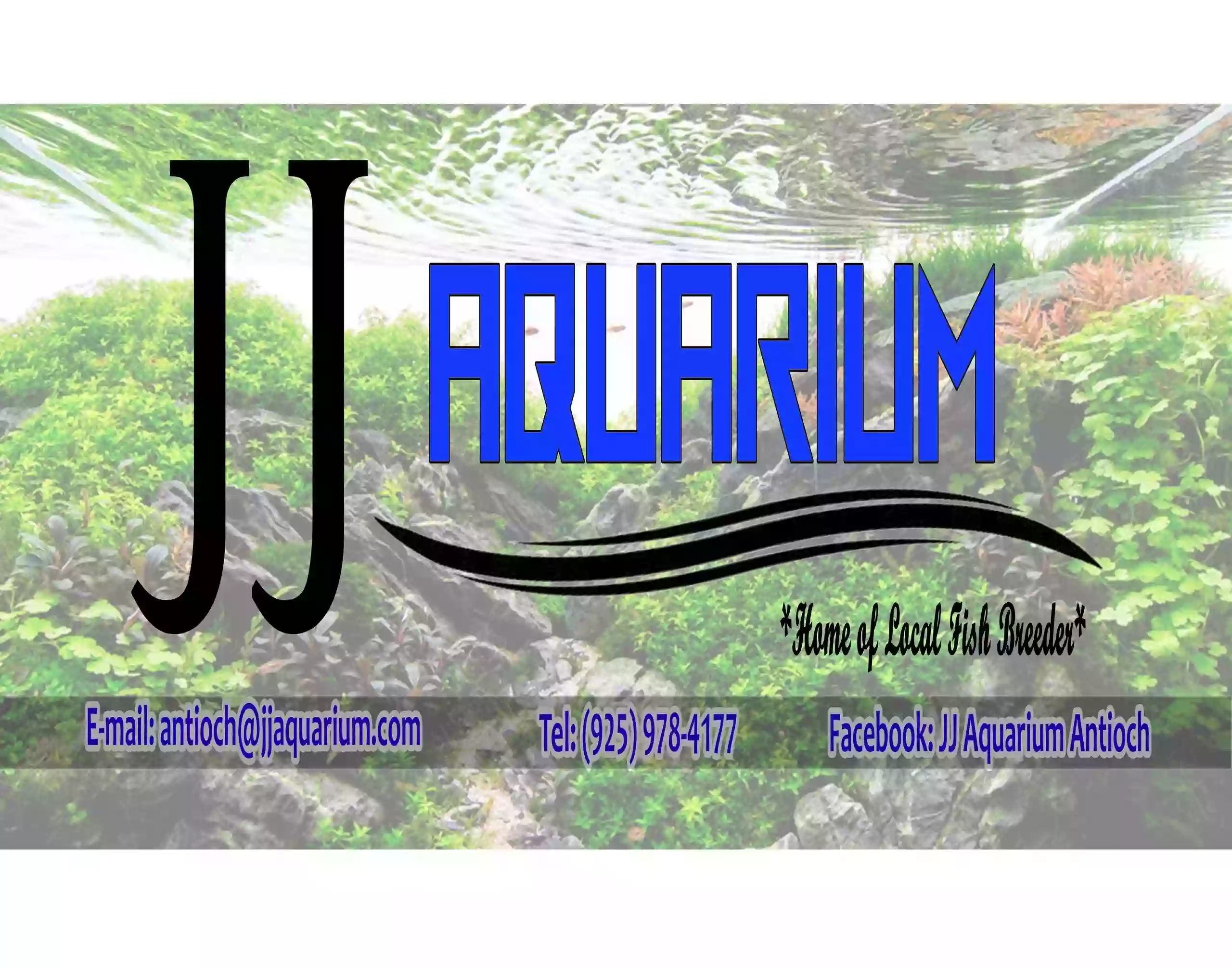JJ Aquarium JJ Aquarium
