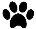 Paw Country Paw Country