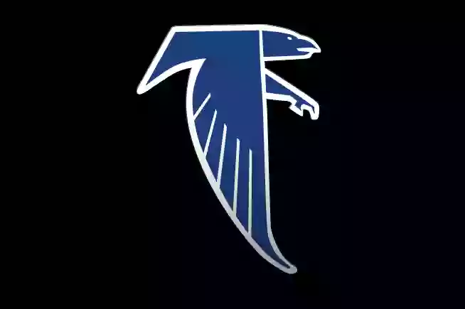 Falcon Field Falcon Field