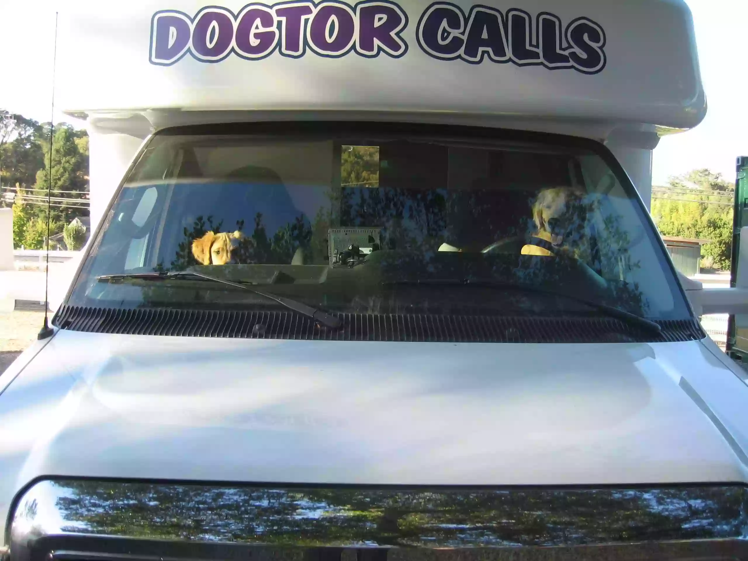 Dogtor Calls Dogtor Calls