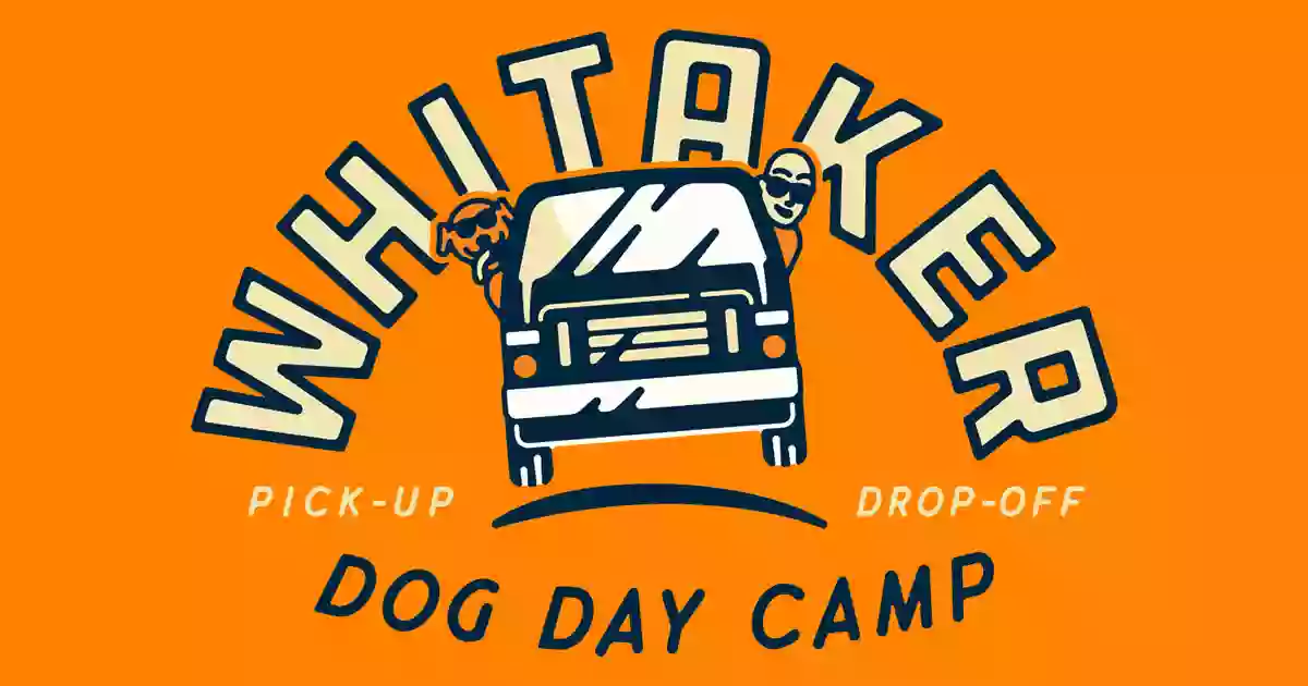 Whitaker Dog Day Camp - Dog Daycare, Boarding and Training Whitaker Dog Day Camp - Dog Daycare, Boarding and Training