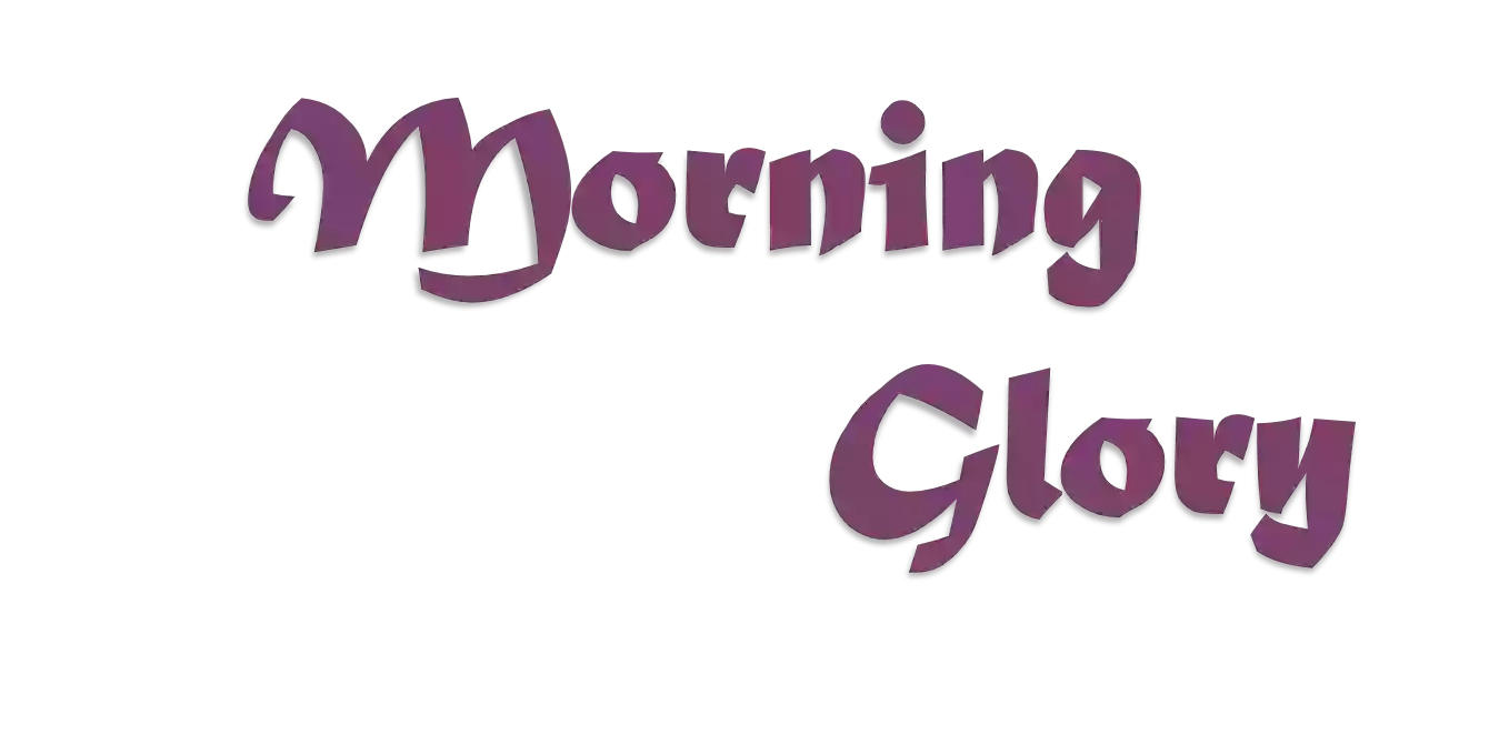 MORNING GLORY FLORIST MORNING GLORY FLORIST