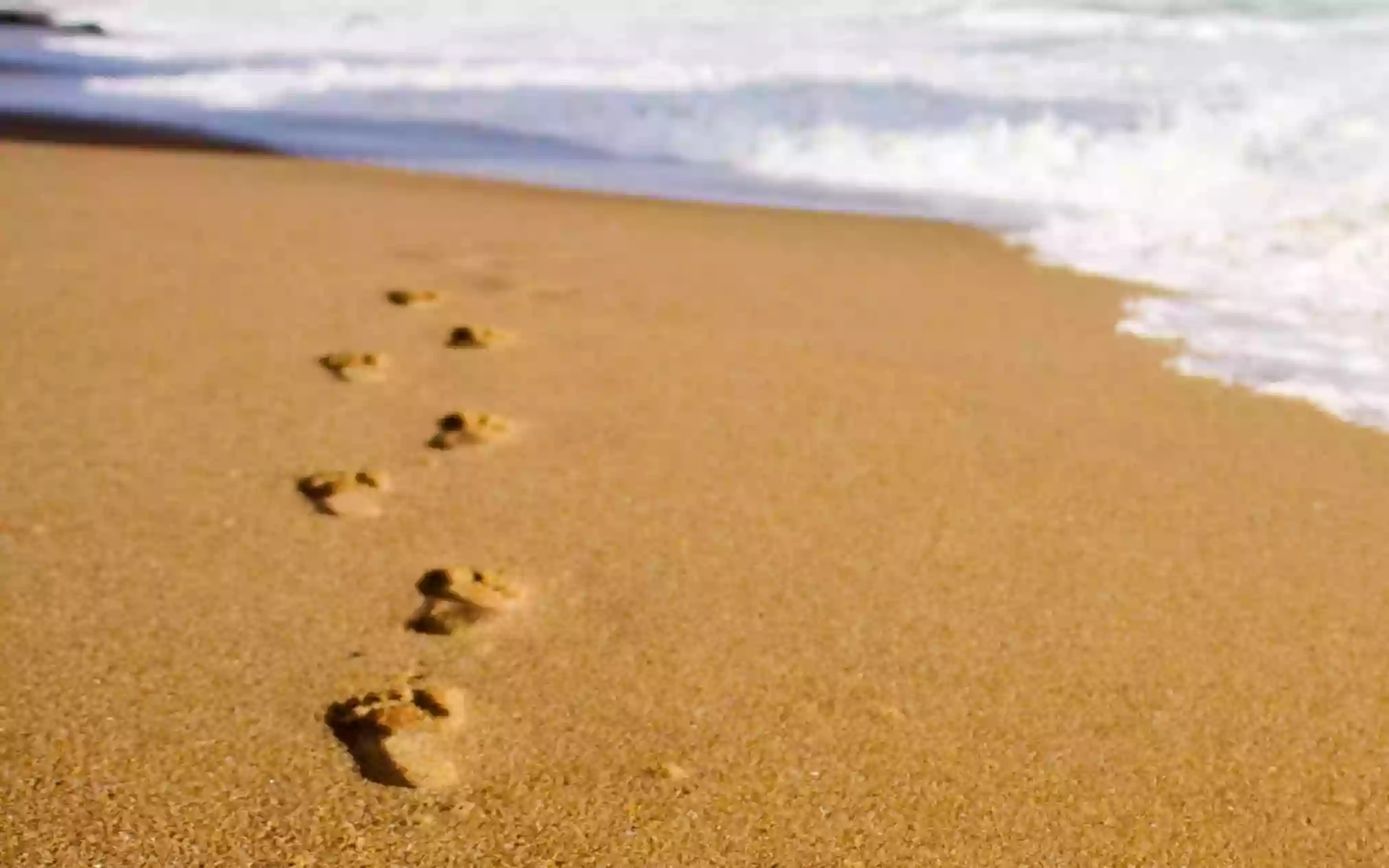 Caring Feet Caring Feet