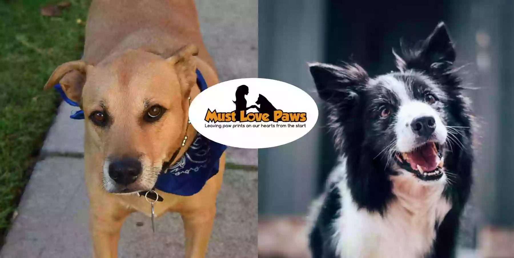 Must Love Paws mobile dog grooming Must Love Paws mobile dog grooming
