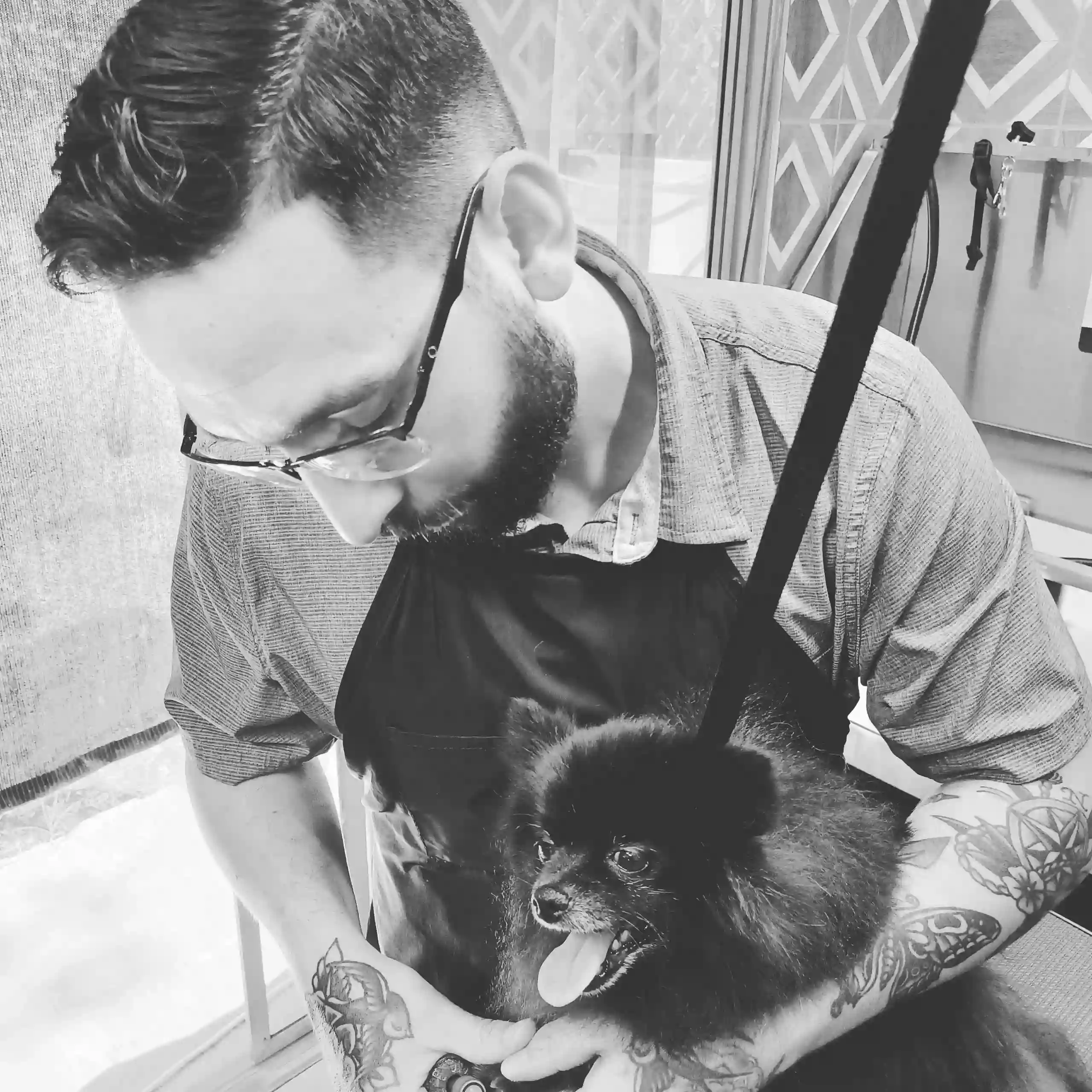 Groomology Groomology