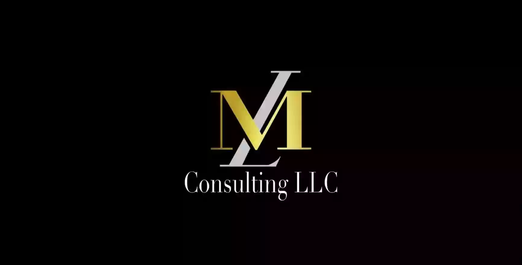 ML Consulting LLC ML Consulting LLC
