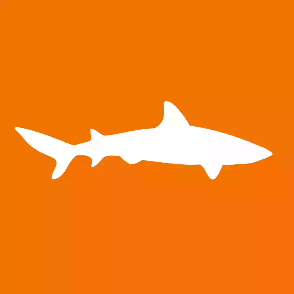 Tax Shark Tax Shark
