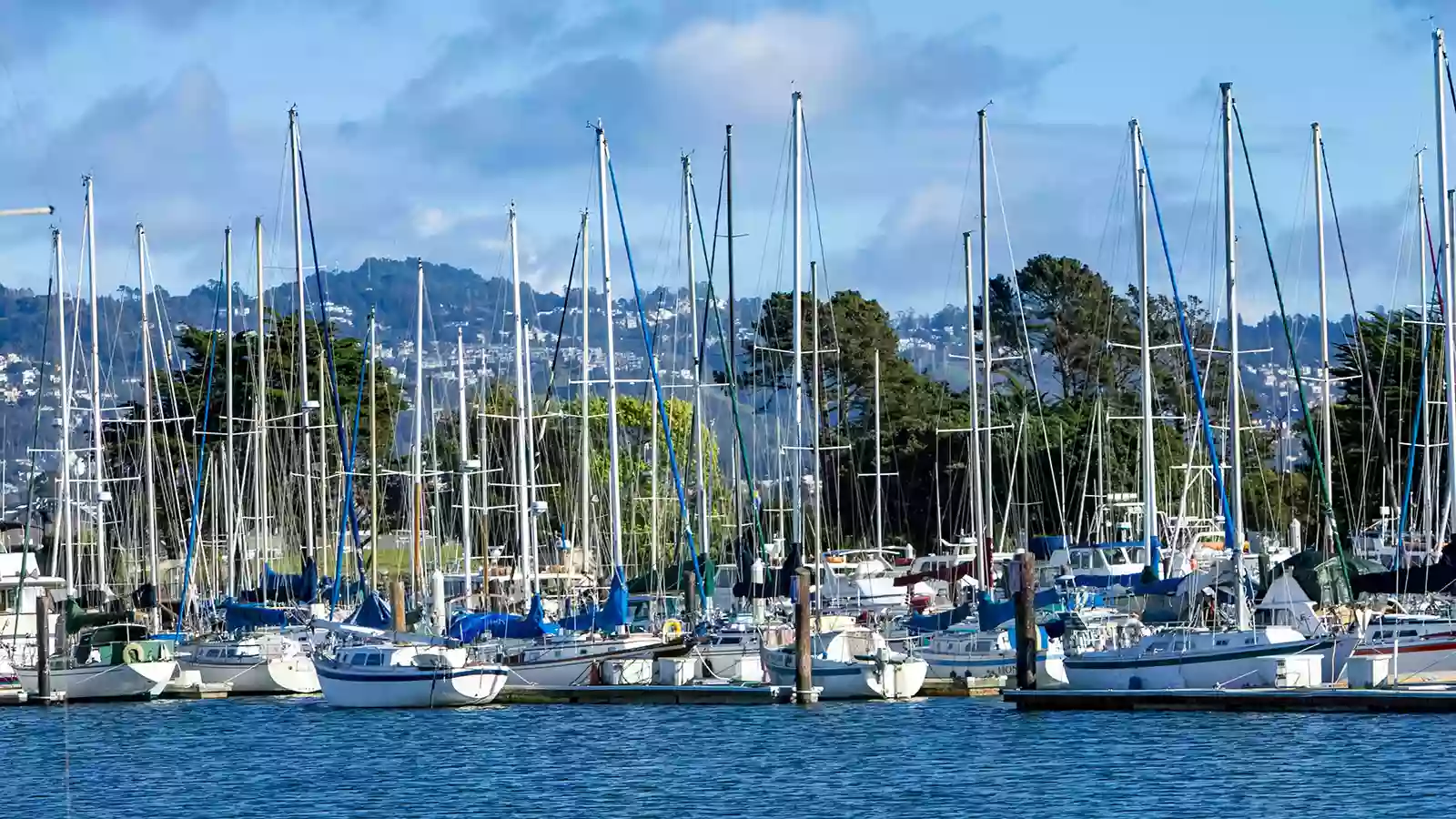 Berkeley Waterfront Berkeley Waterfront